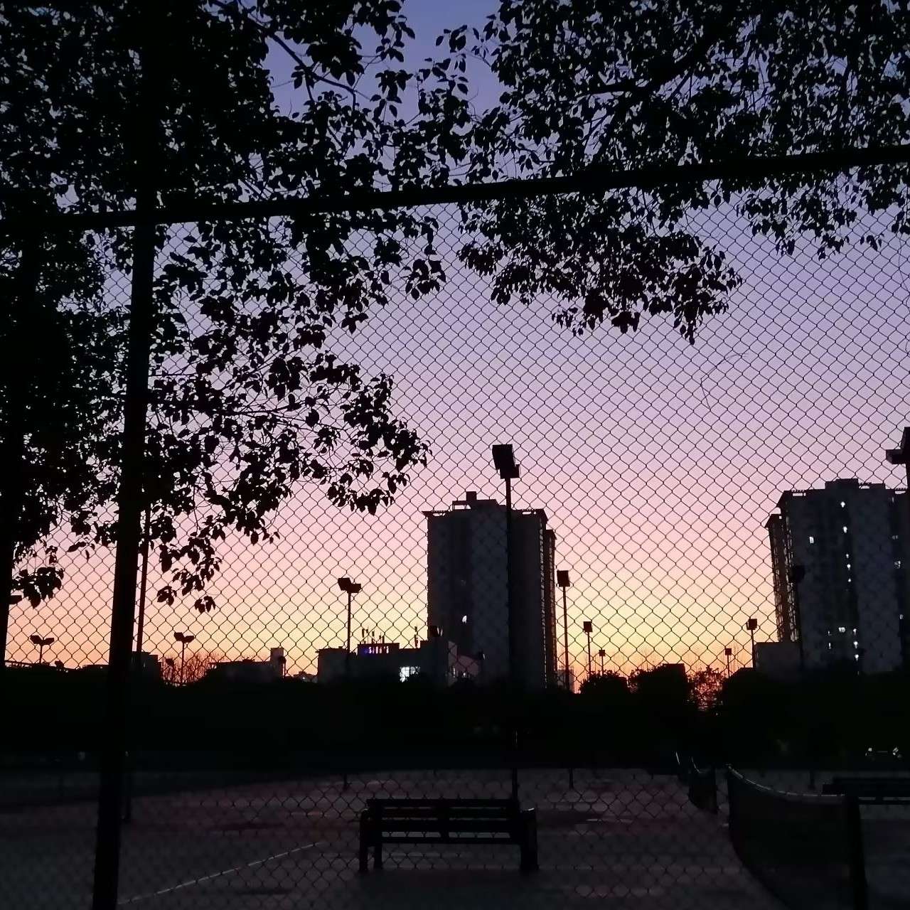 青春万岁