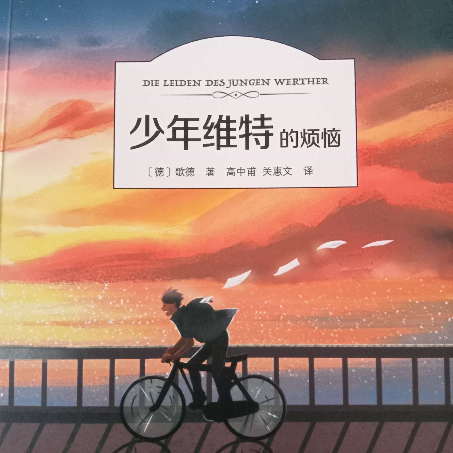 少年维特的烦恼
