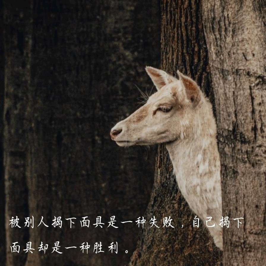 醒落的专辑