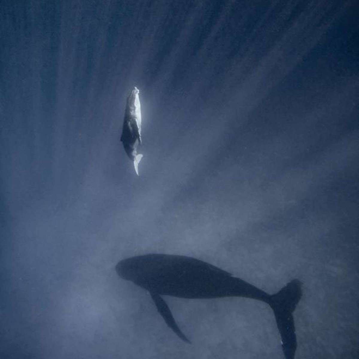 人生海海