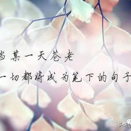 大梦一场