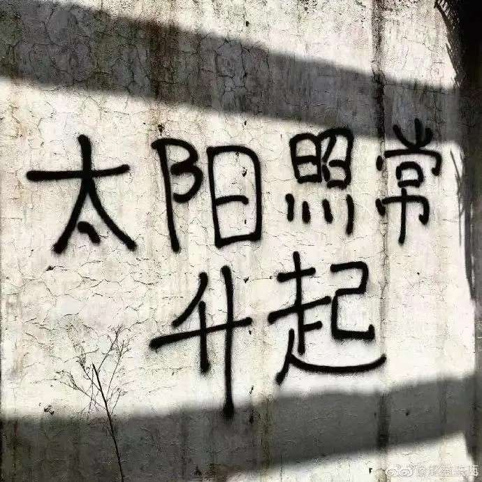 品品