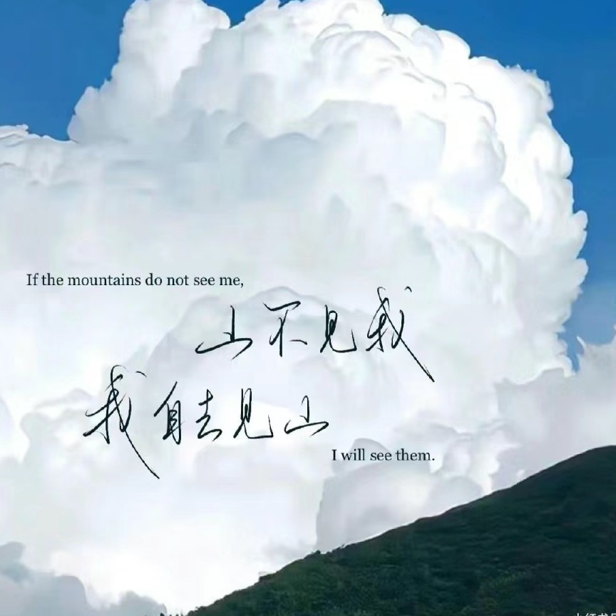 我的专辑