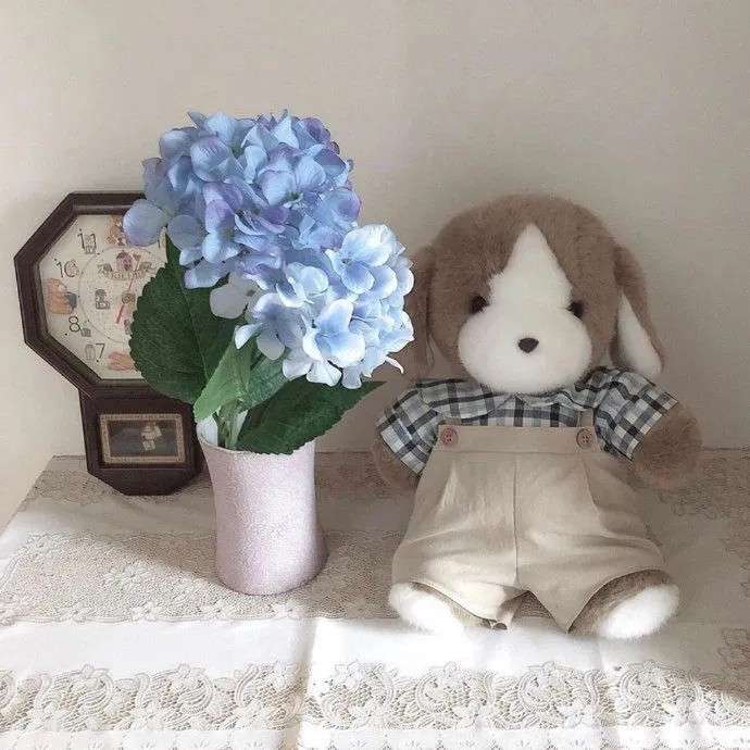 今阳不金阳