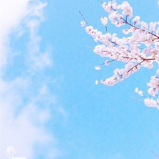 上进