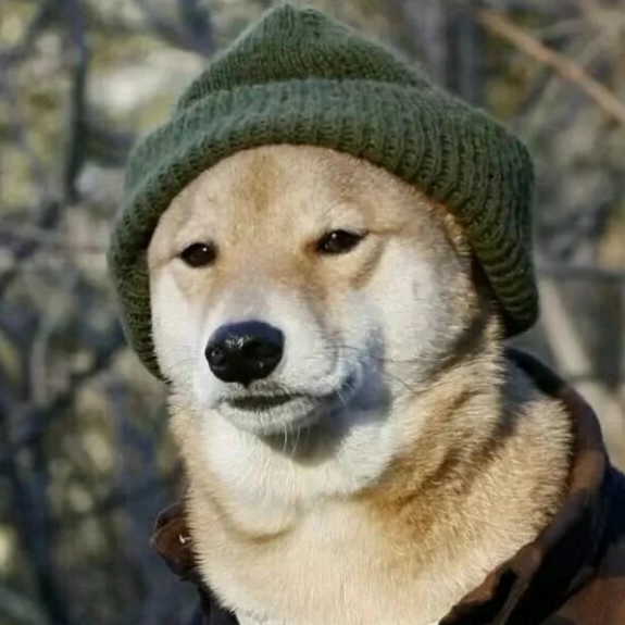 我的