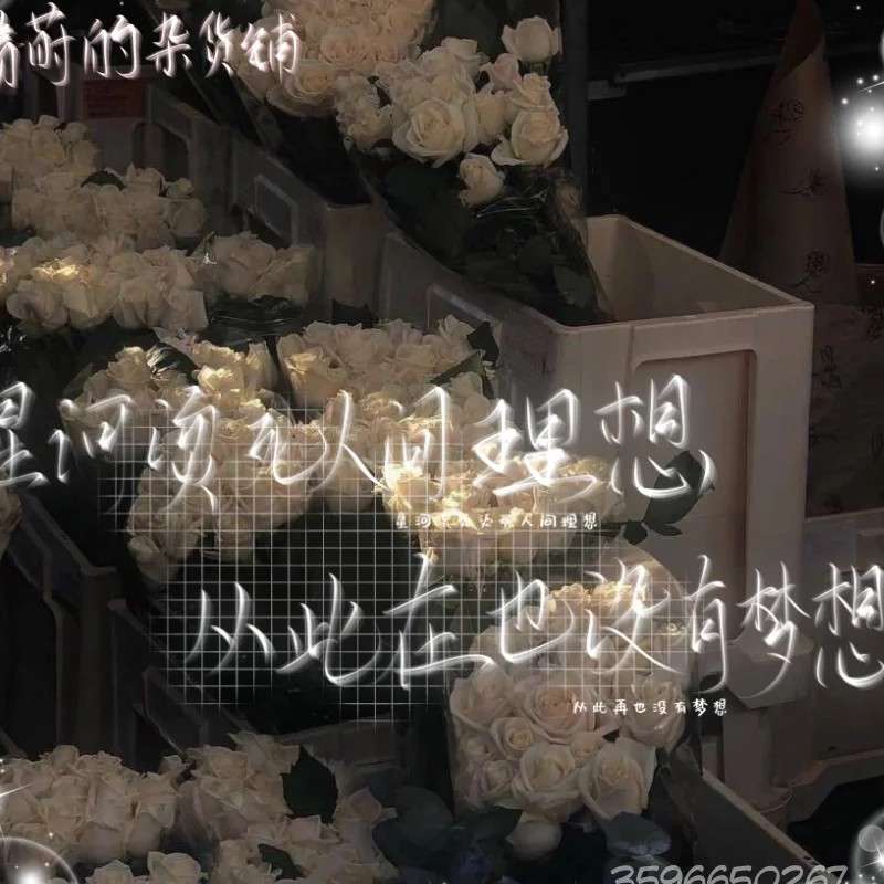 你的理想