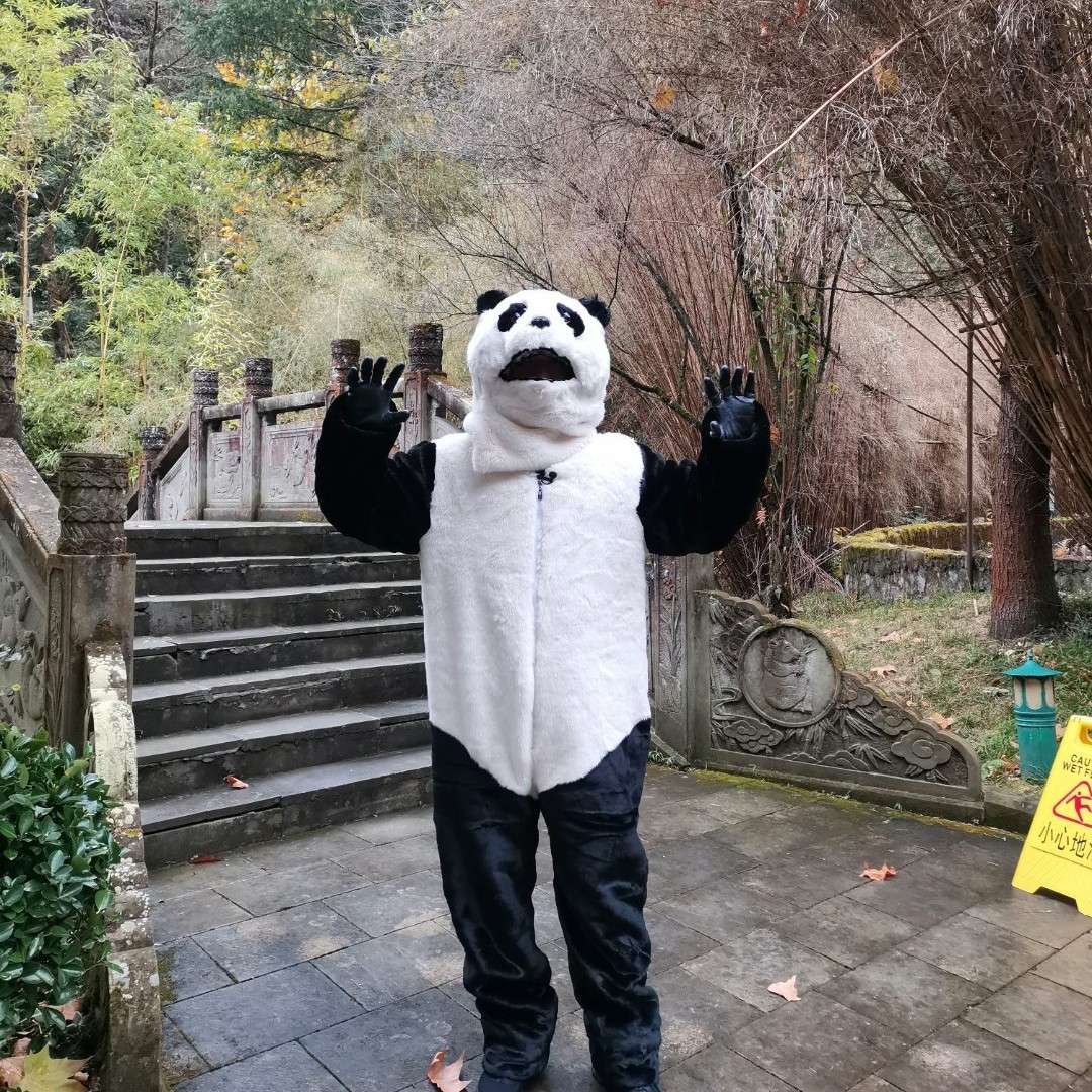 雪没化＿