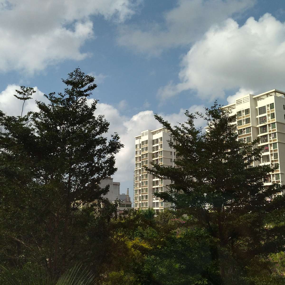 摘抄
