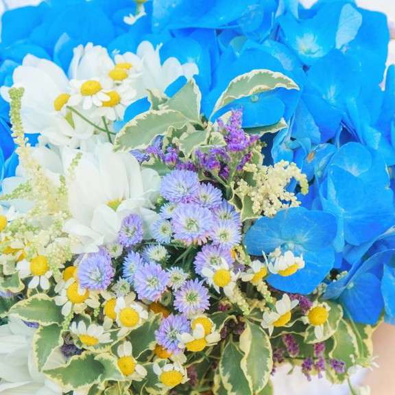 💙 Collection