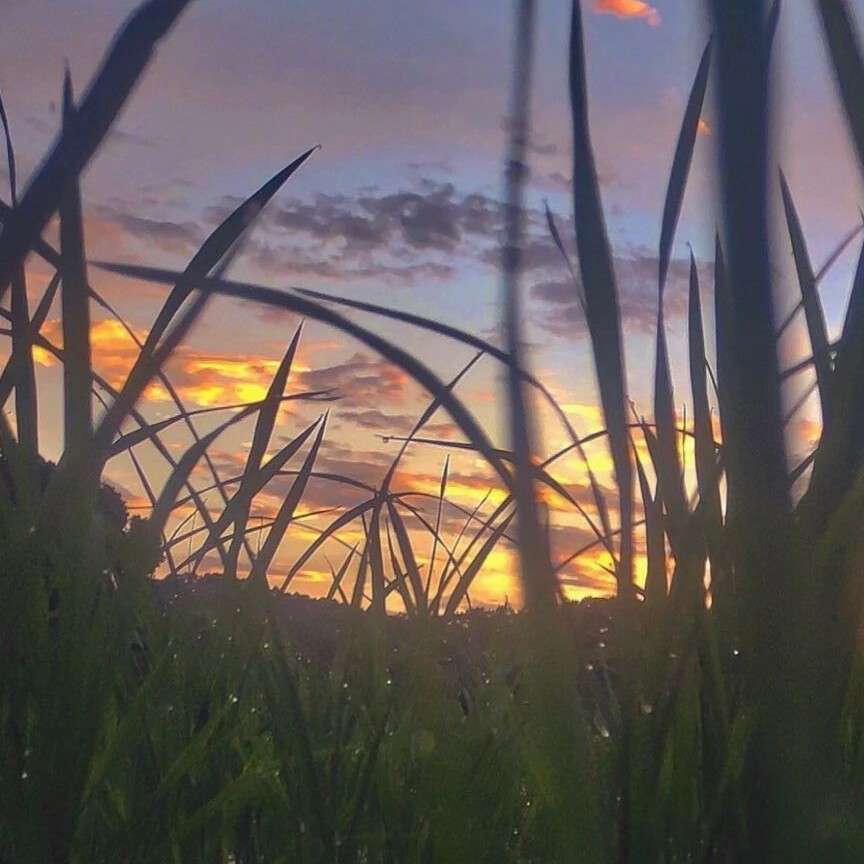 遗憾错过✘