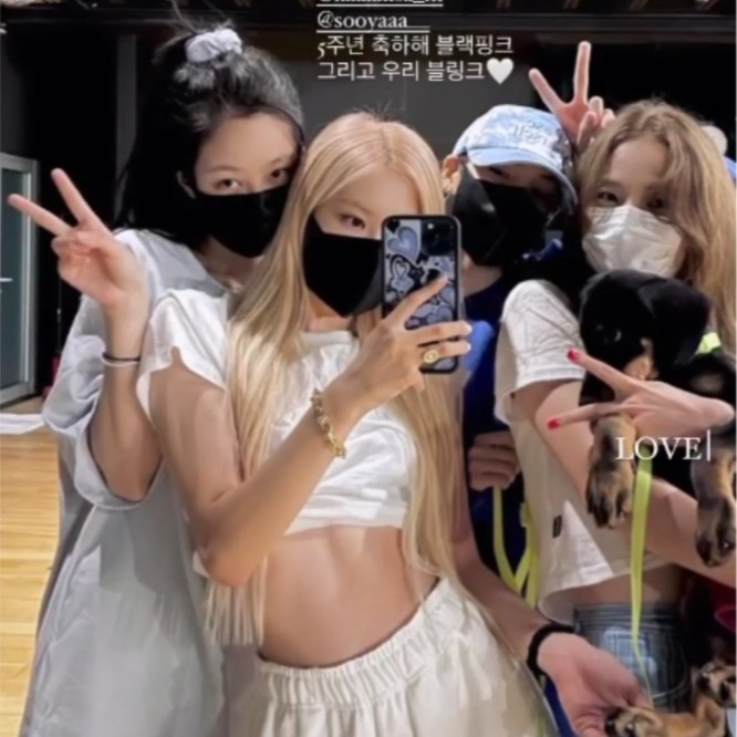 BLACKPINK四闺女语录