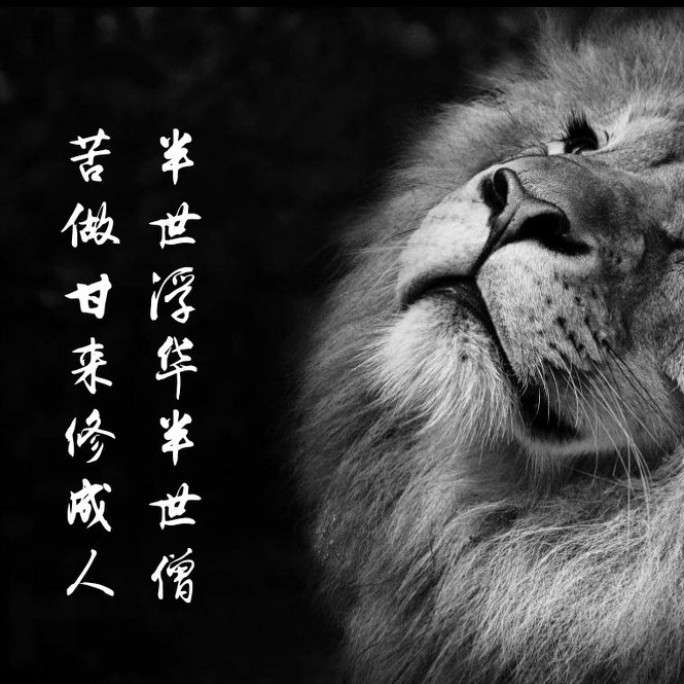 空性智慧