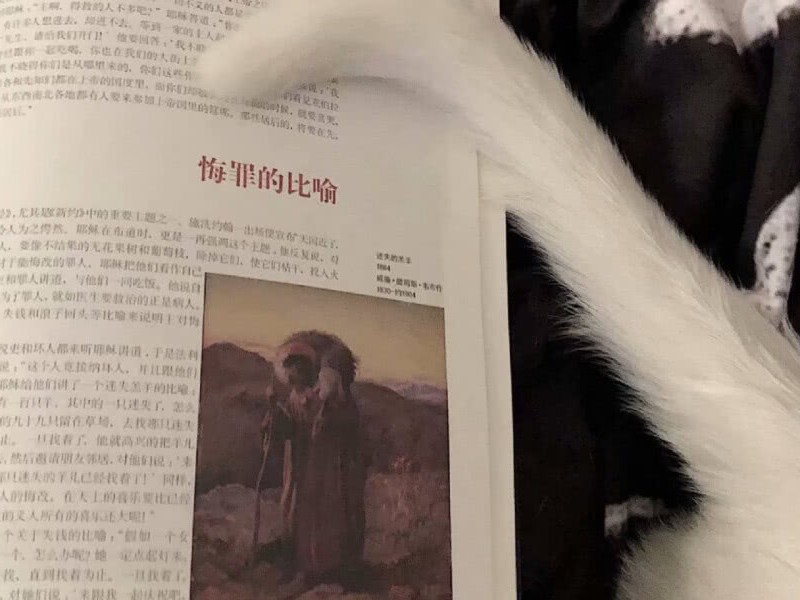 网易云热评