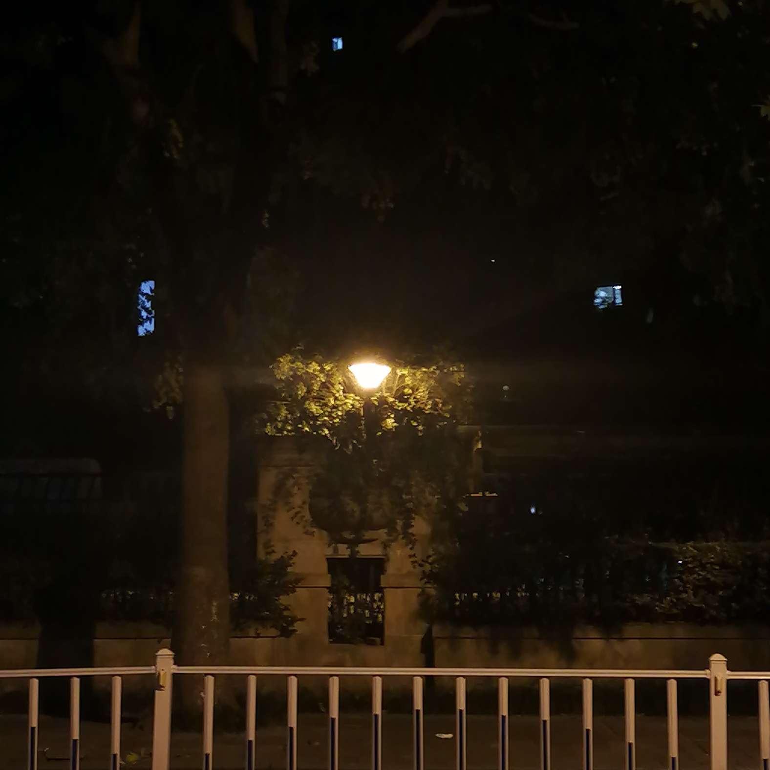 世界随笔