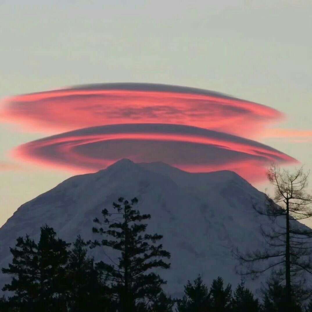 文采