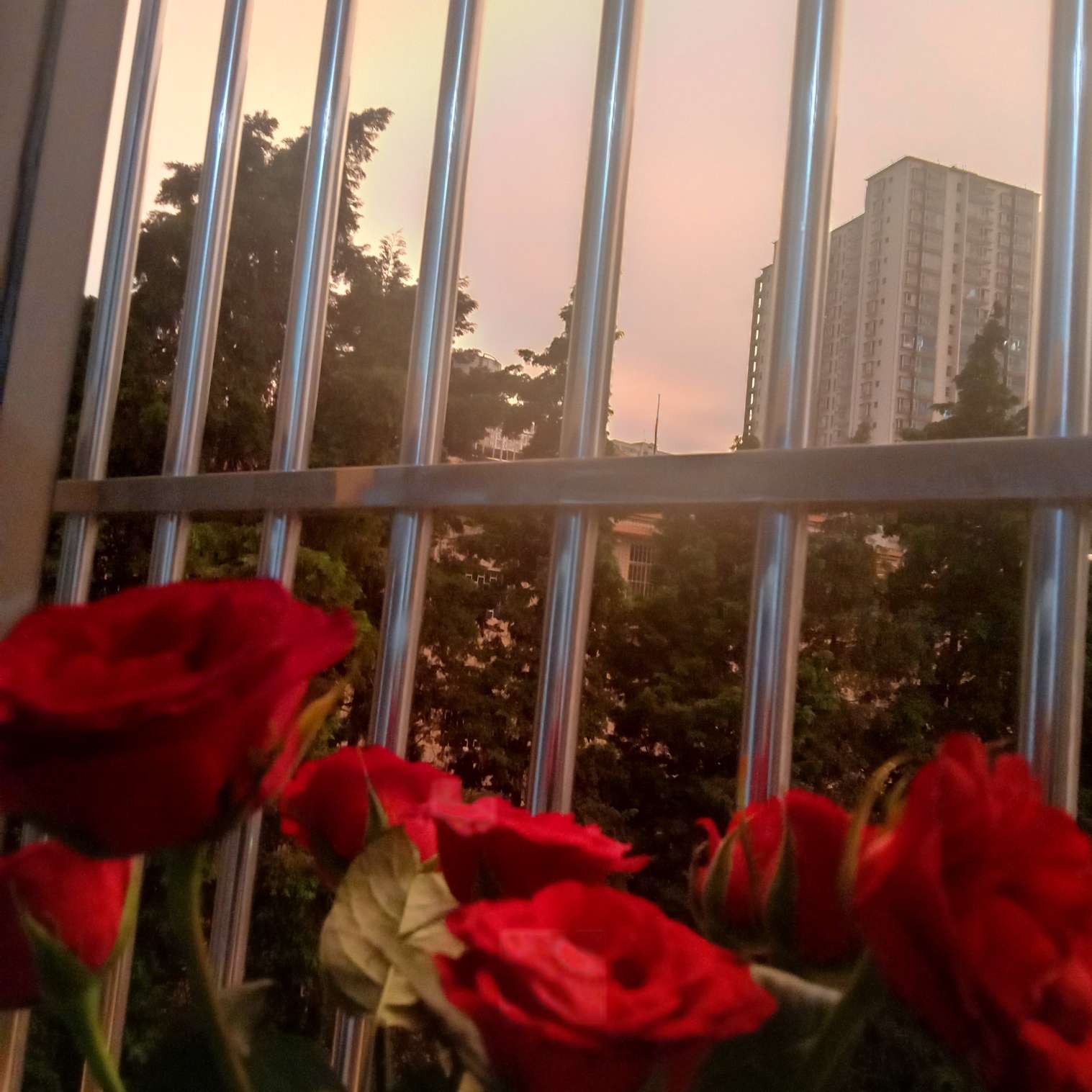 花语