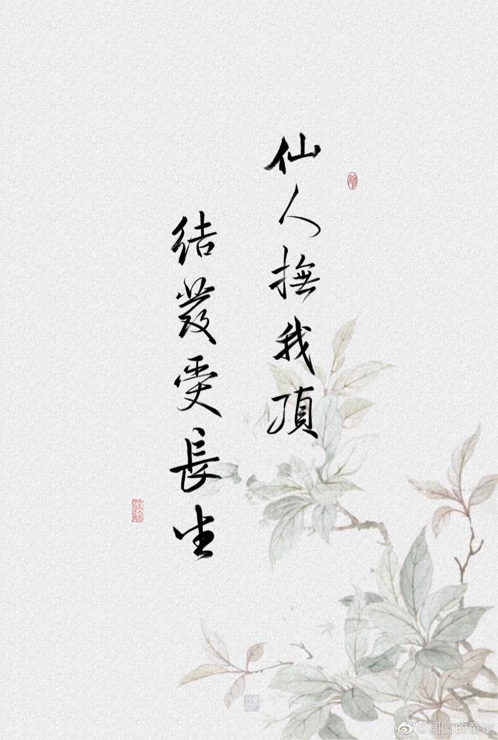 唯有一诗敬月明