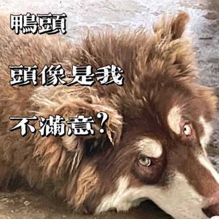 情感