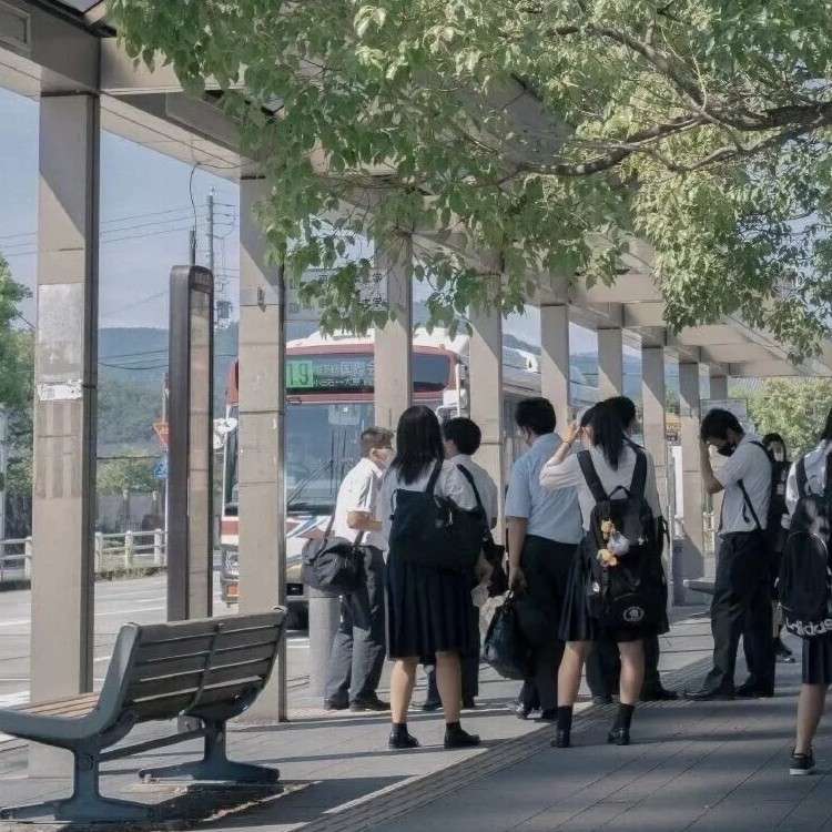 那年盛夏
