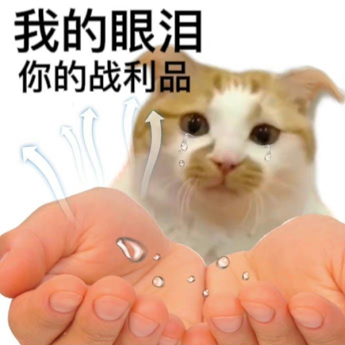昨天0:00的专辑