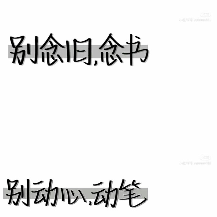 写作专用