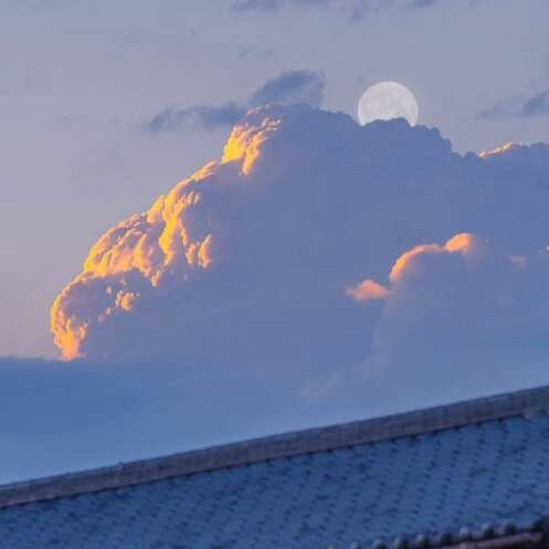 惊艳