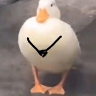 累了看看咯