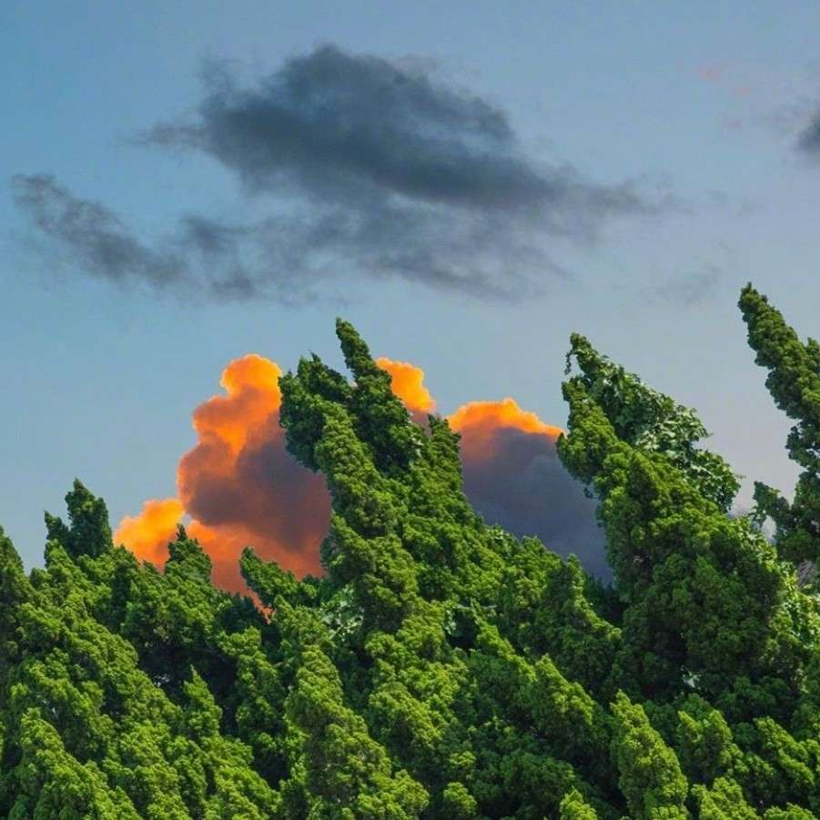 撩