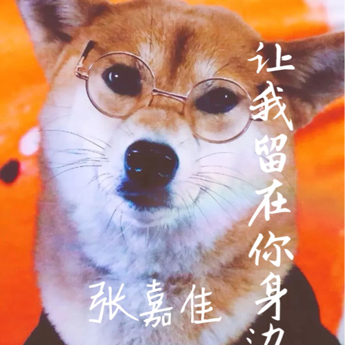 让我留在你身边