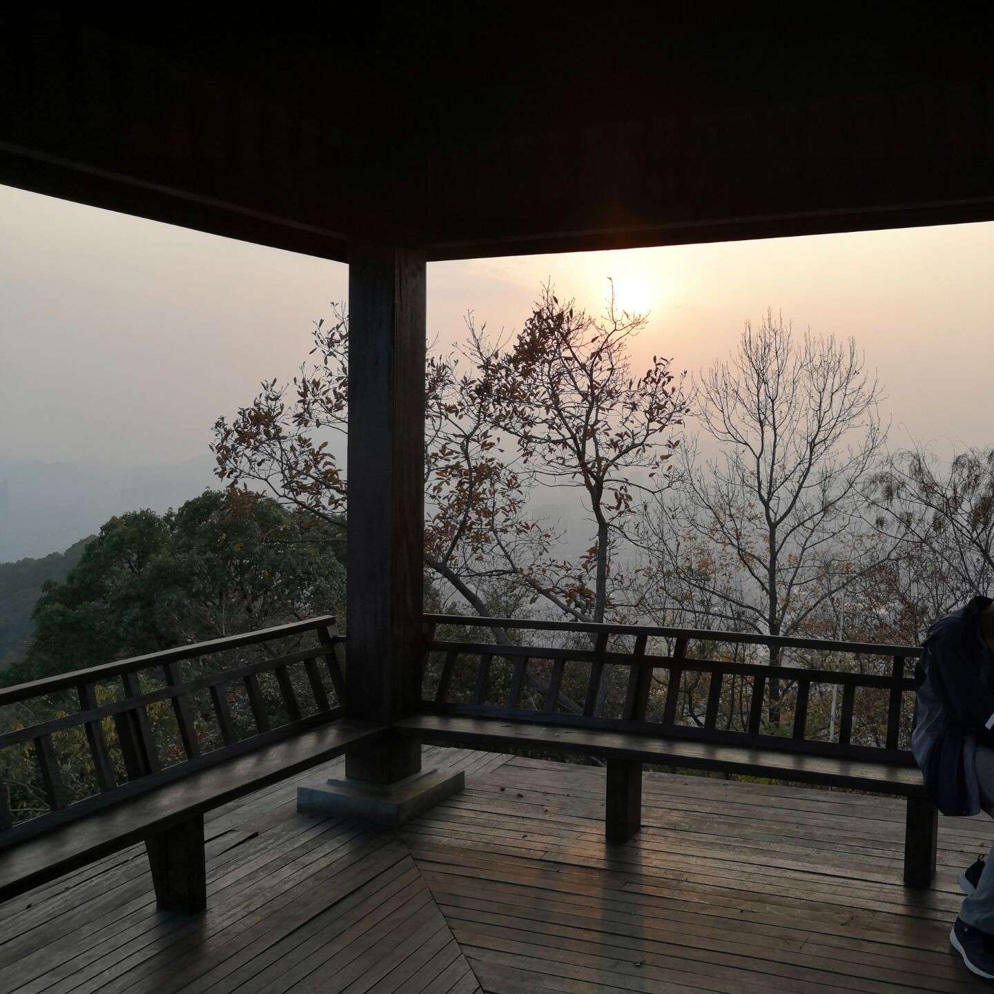 正弦恶鸦的专辑