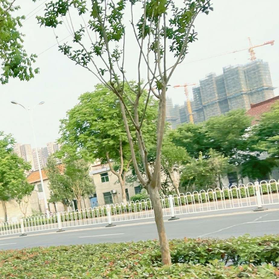 摘抄好句