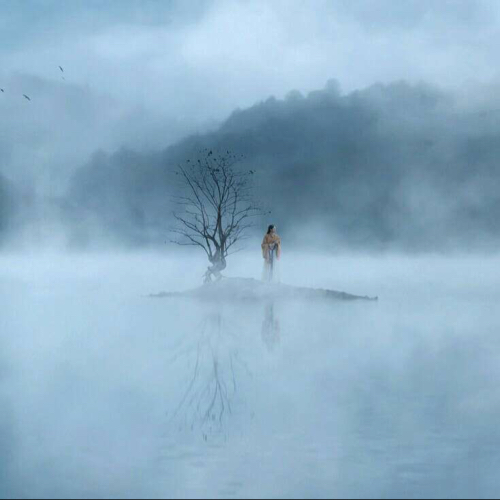Y．的专辑