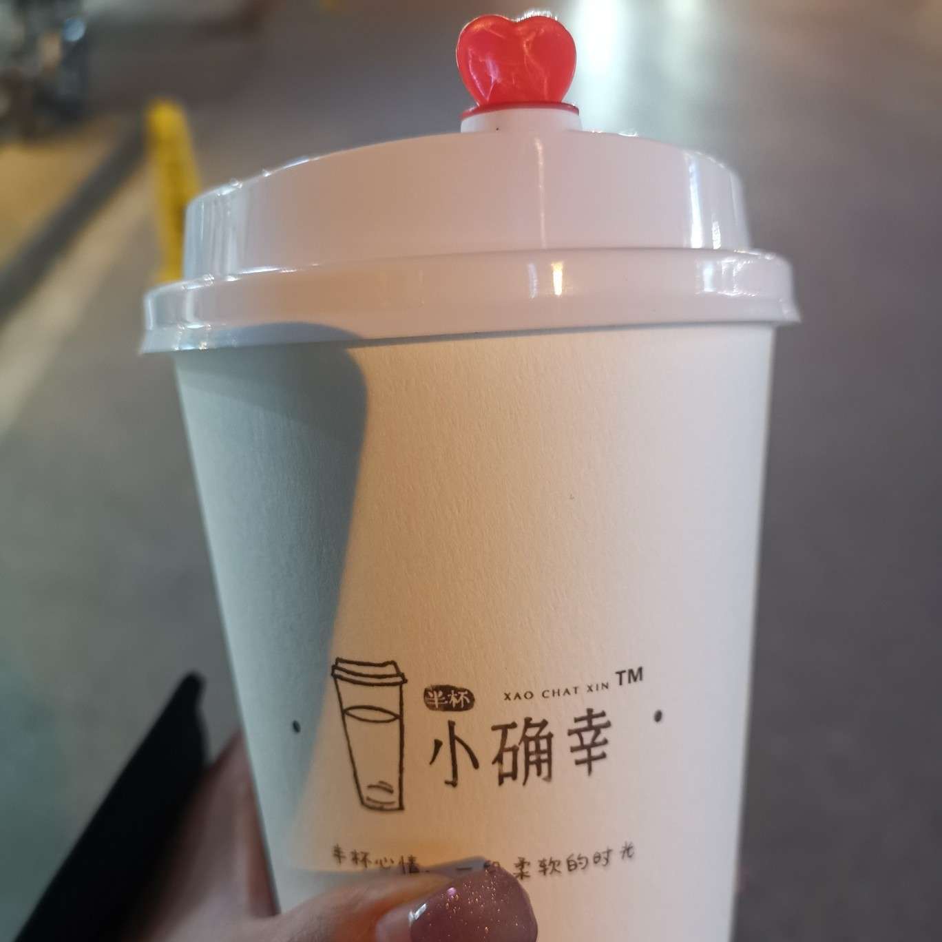 收藏的句子