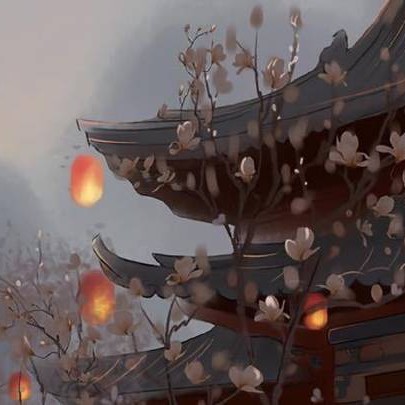 我的专辑