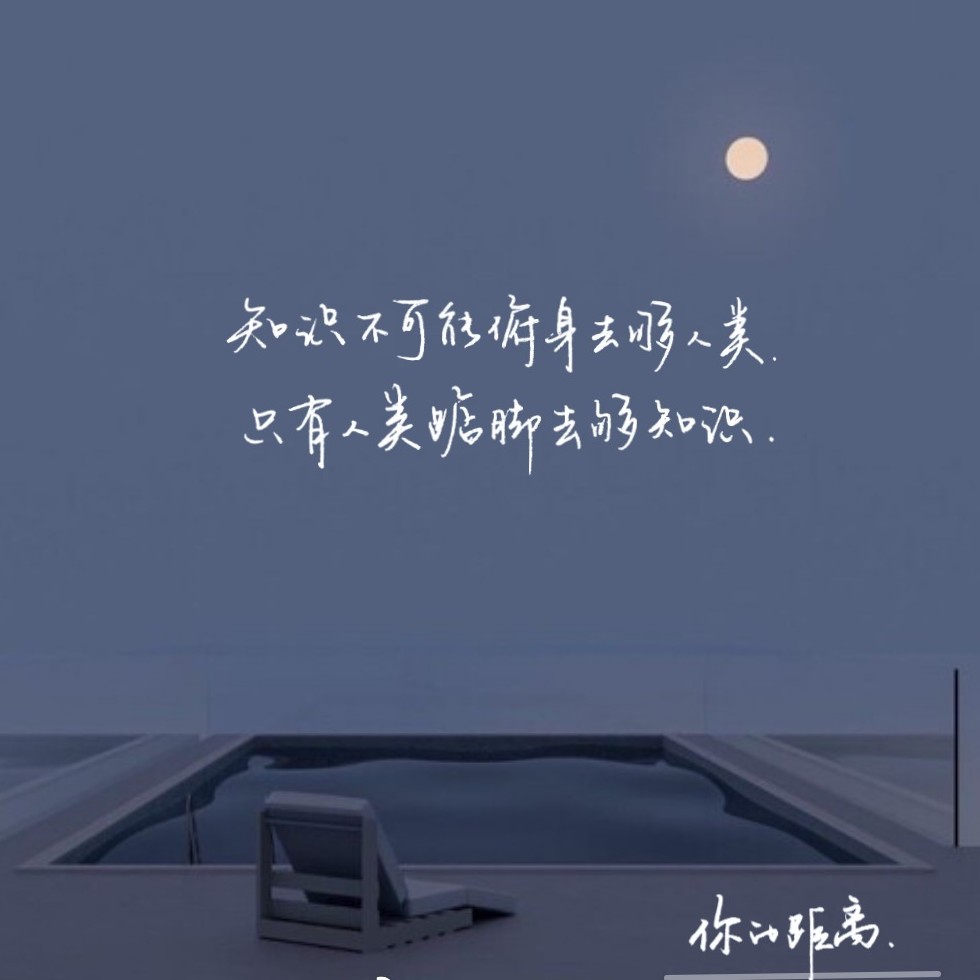你的距离