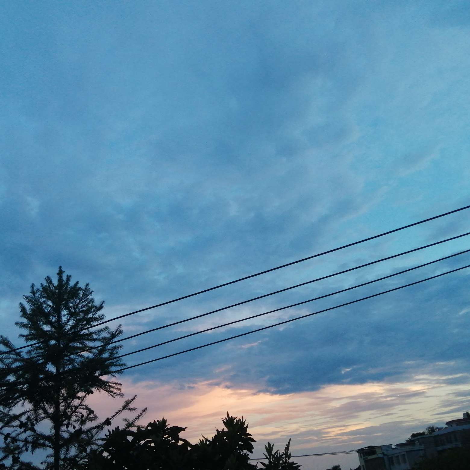 Dik-的专辑