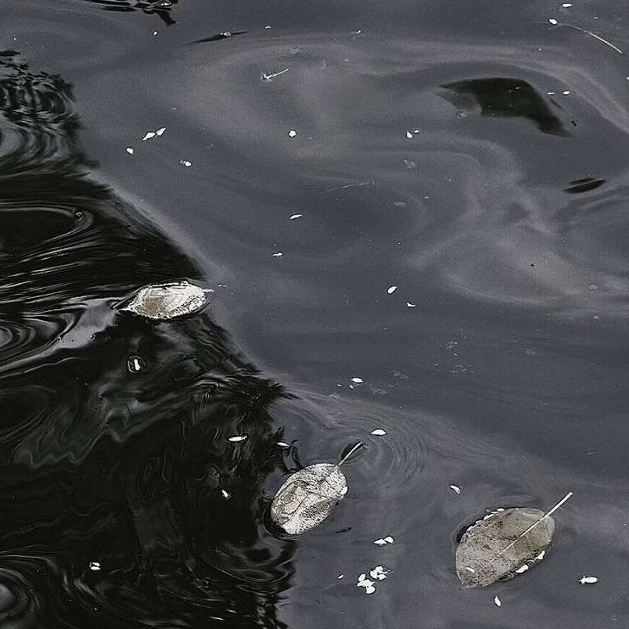 爱