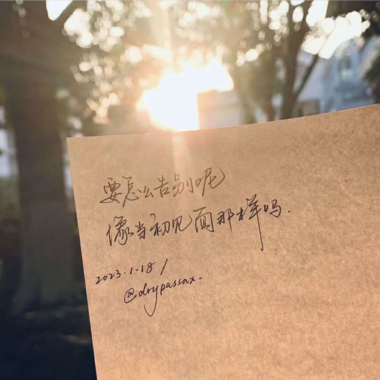 小众文案