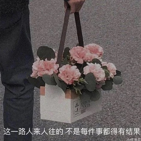 关于我们的青春