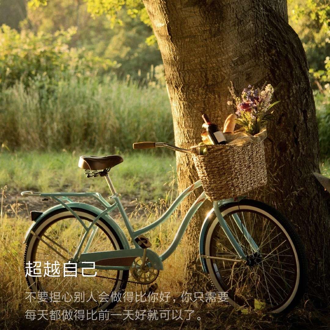 悦读