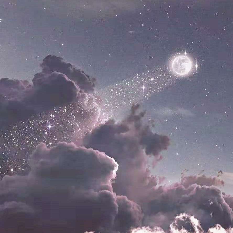 唯美冷门