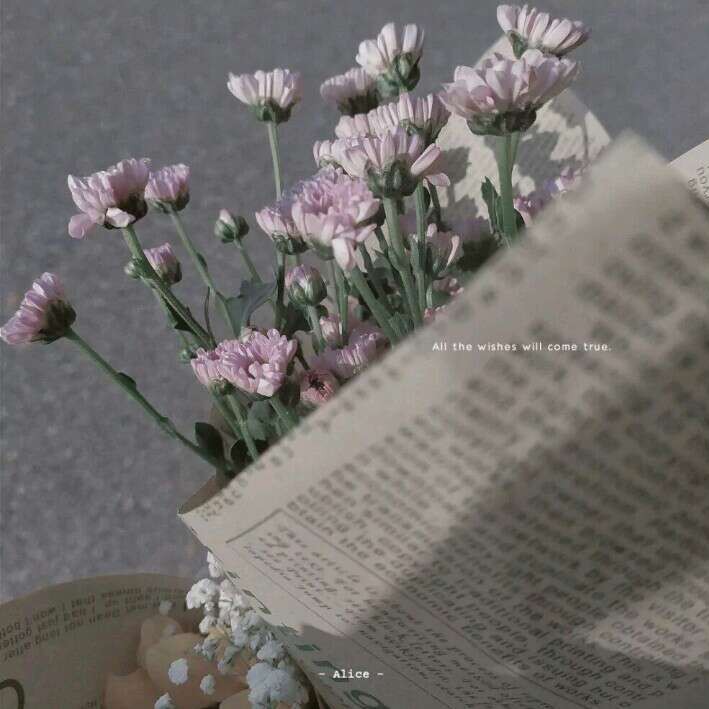 ᵧｕ.的专辑