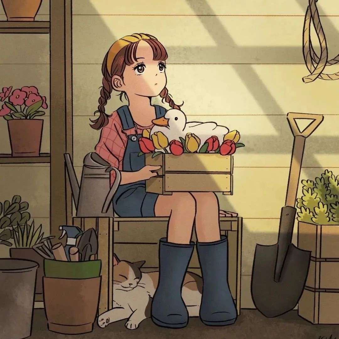 南风知我意