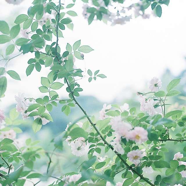 写作宝典
