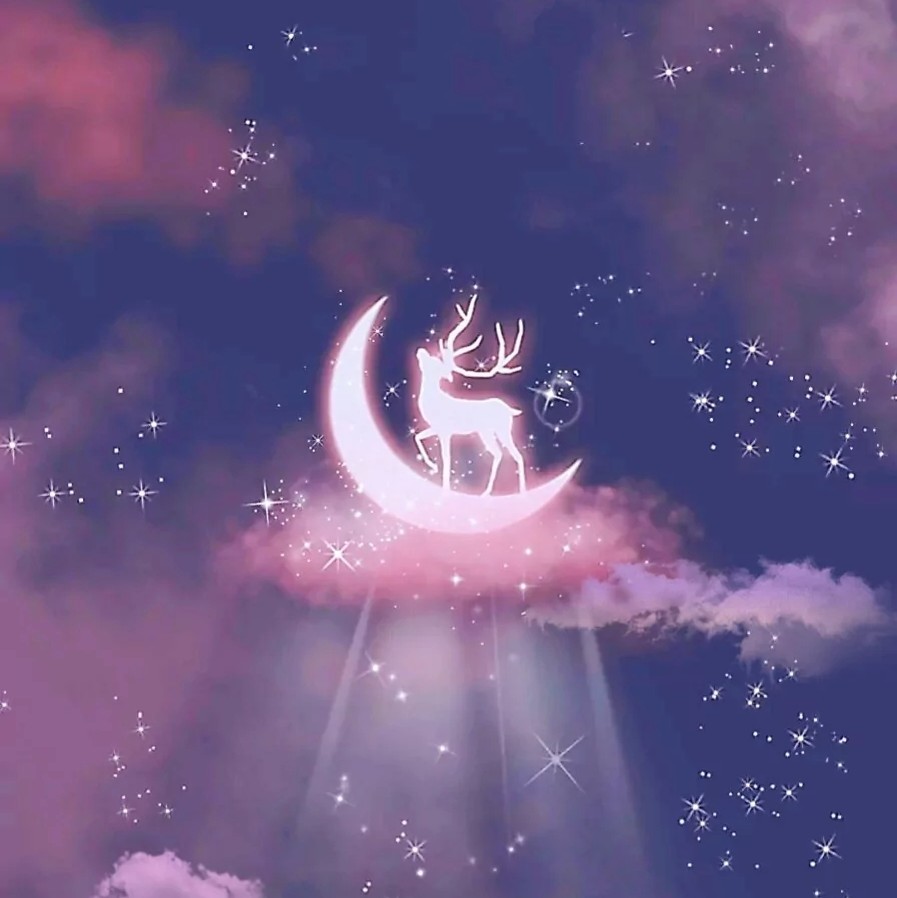 ʚʕ̯•͡˔•̯᷅ʔɞ的专辑