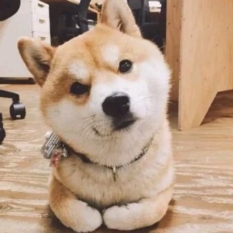 博君一肖是真的
