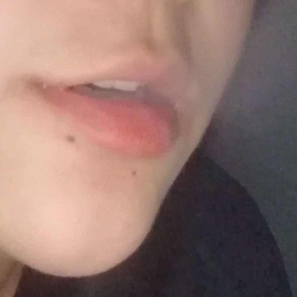 枫了的专辑
