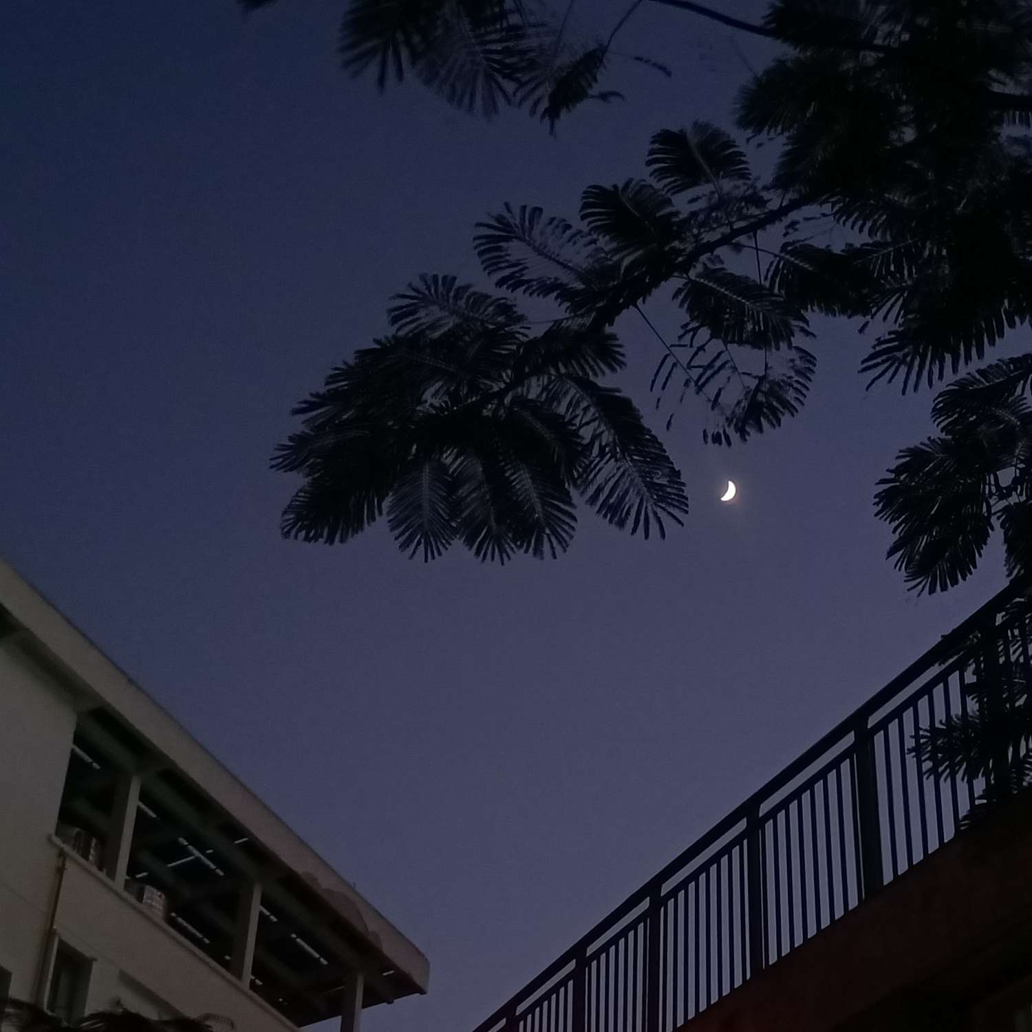 书籍摘抄