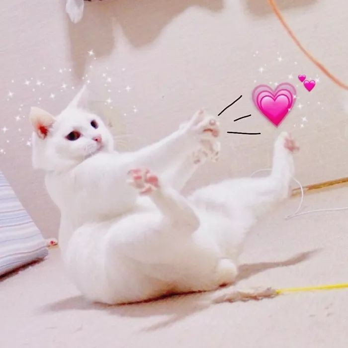 沈从文